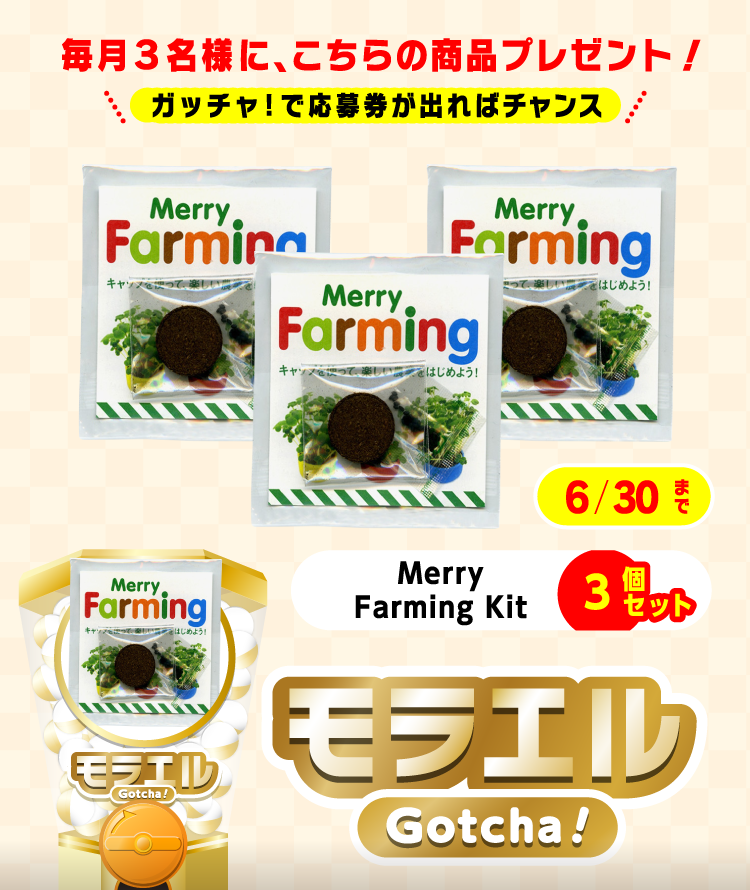 【Merry Farming Kit】モラエルガッチャ!のお得なクーポンが当たるガッチャ