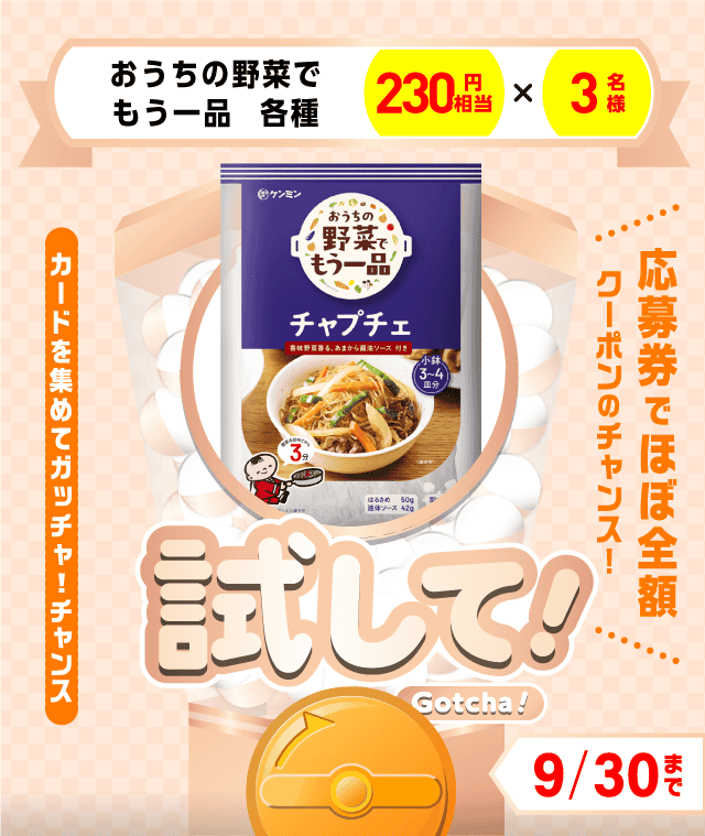 【おうちの野菜でもう一品　各種】試してガッチャのお得なクーポンが当たるガッチャ