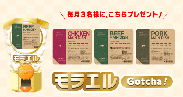 nosh トライアルセットのお得なクーポンが当たるガッチャ