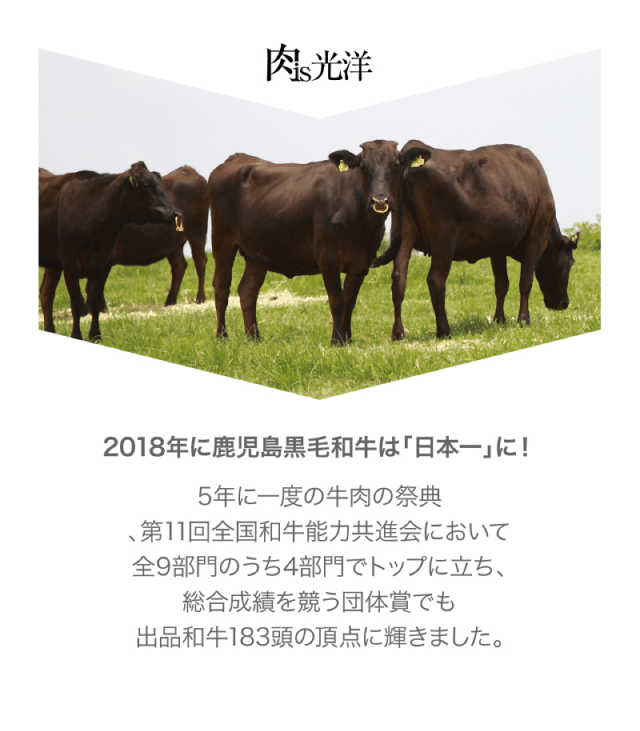 2018年に鹿児島黒毛和牛は「日本一」に！第11回全国和牛能力共進会において4部門でトップ、団体賞でも出品和牛183頭の頂点に輝きました。
