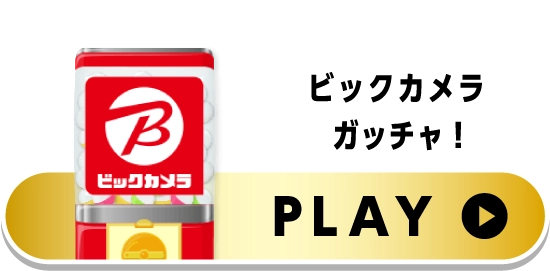 ビッグカメラ