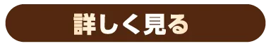 詳しく見る