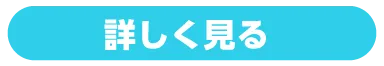 詳しく見る