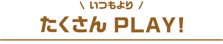 たくさんPLAY