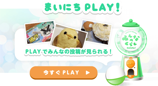 まいにちPLAY