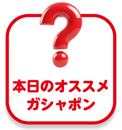 本日のおすすめ